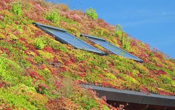 Scarthingwell living roof systems