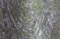 Scarthingwell fibreglass roof work